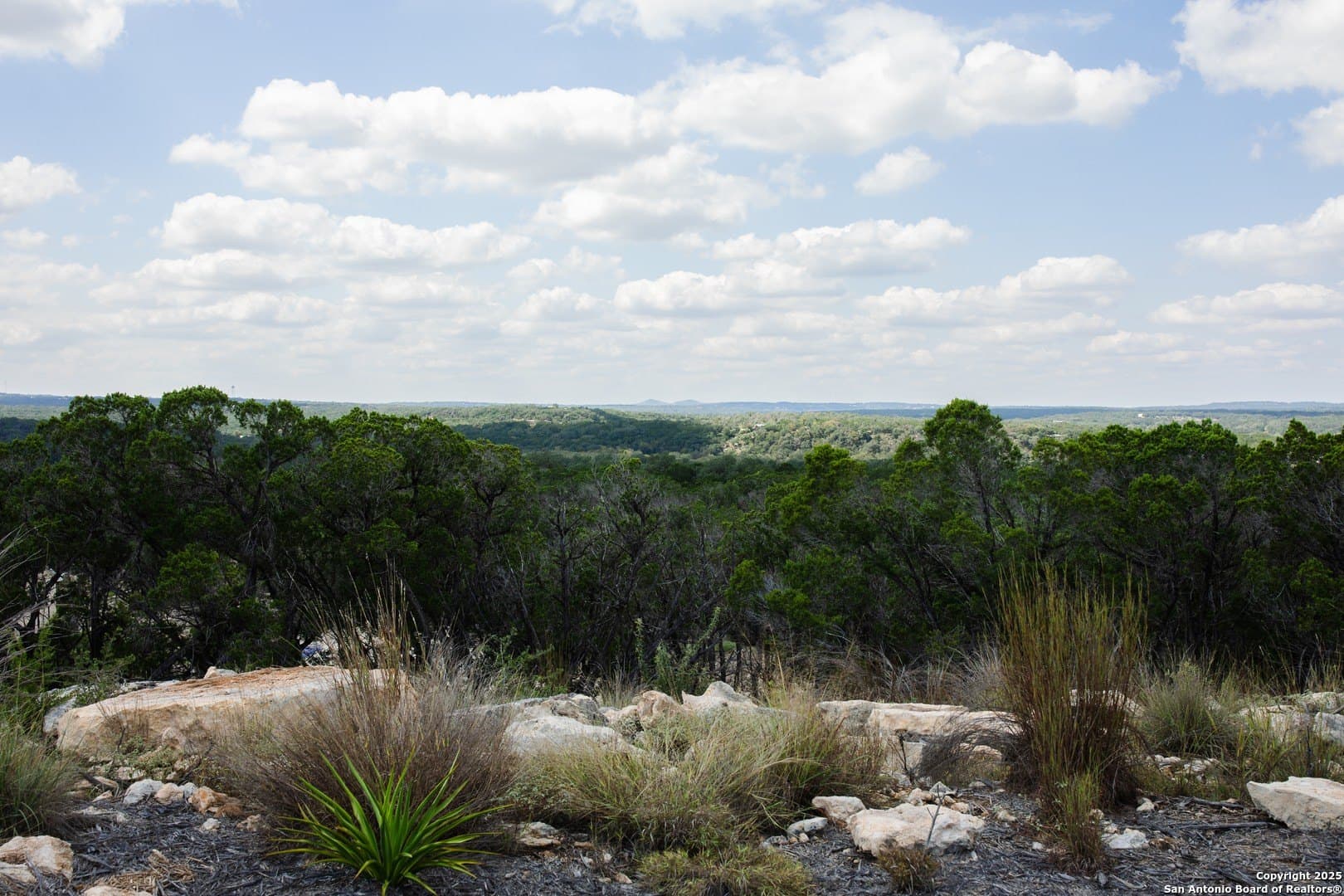 1.38 acres in Comal County gallery image 4