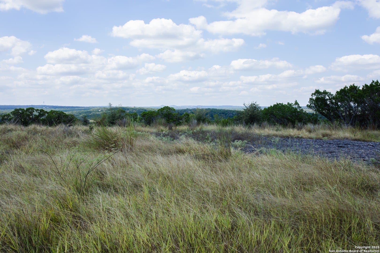1.38 acres in Comal County gallery image 2