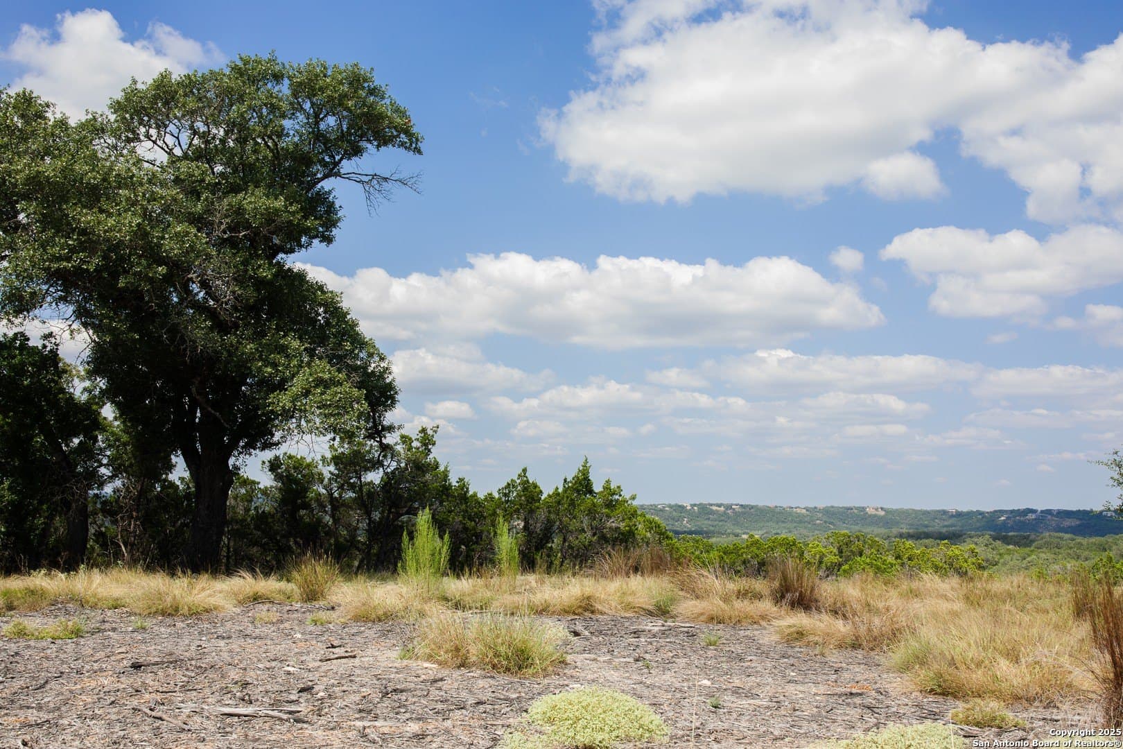 1.38 acres in Comal County - photo 8