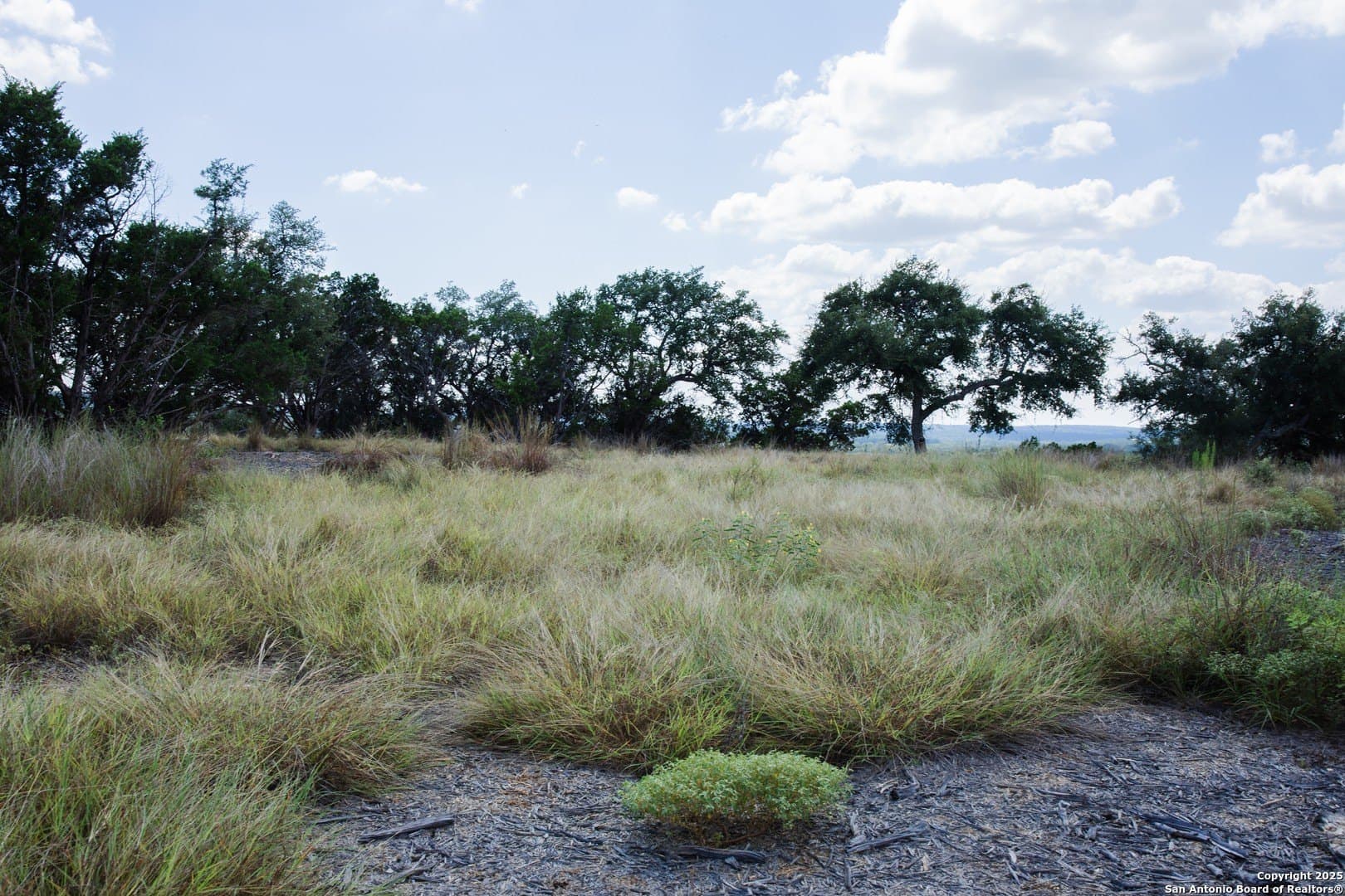 1.38 acres in Comal County - photo 7