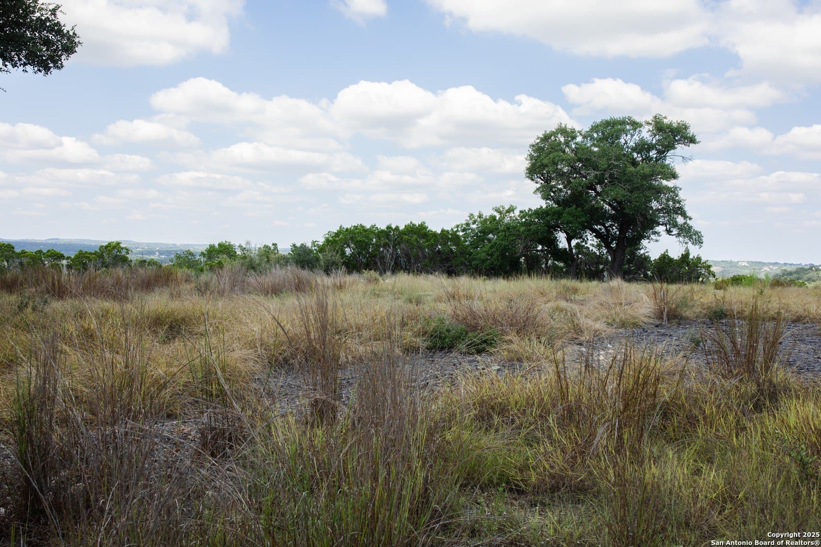1.38 acres in Comal County - photo 12