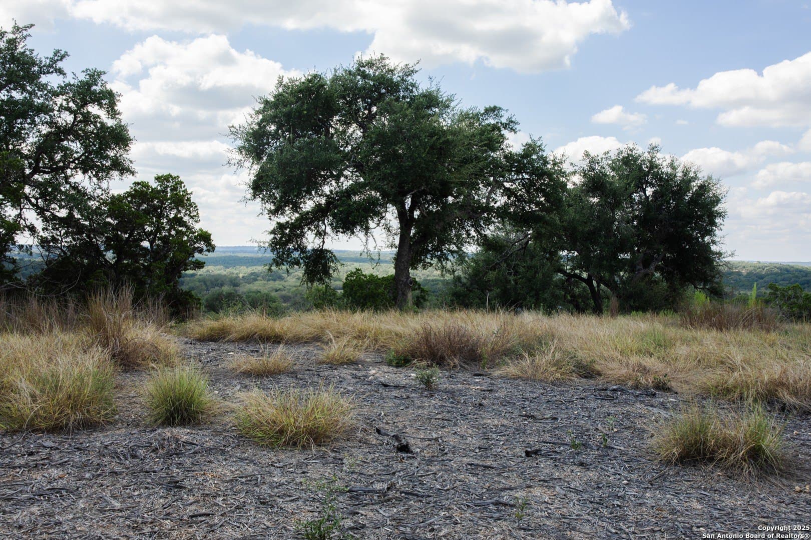 1.38 acres in Comal County - photo 11