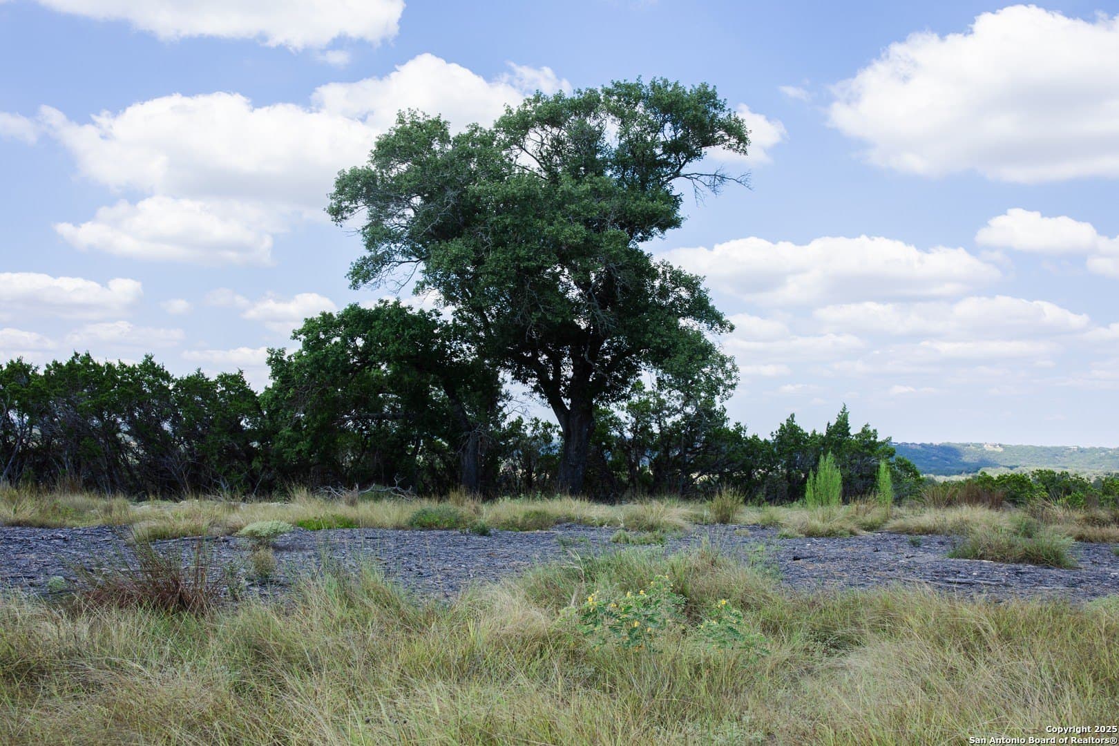 1.38 acres in Comal County - photo 10