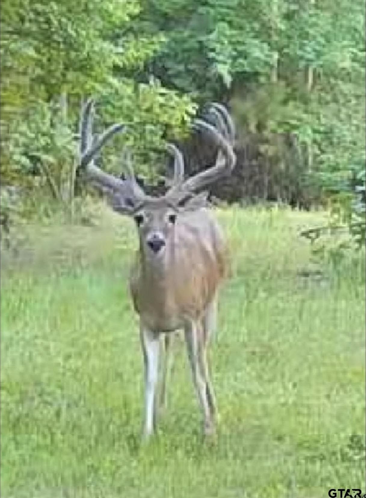 75 acres in Wood County - photo 26