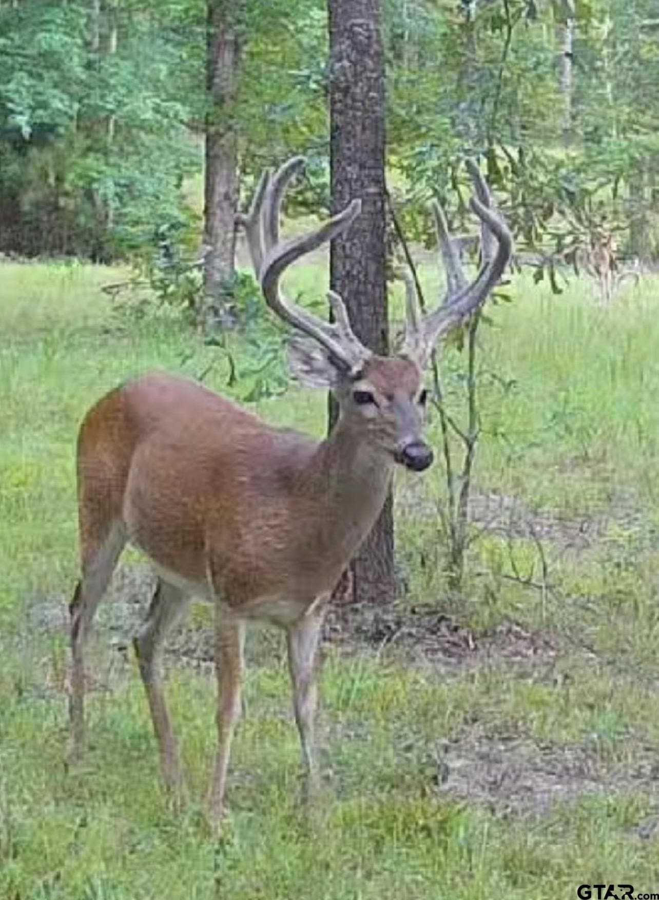 75 acres in Wood County - photo 24