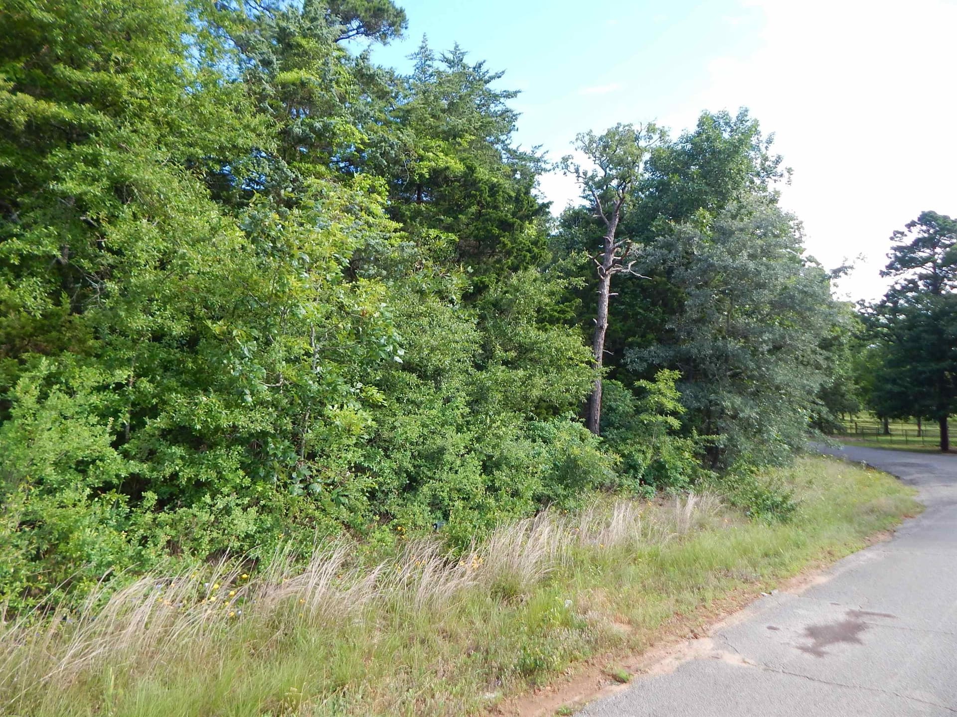 12.15 acres in Upshur County featured view
