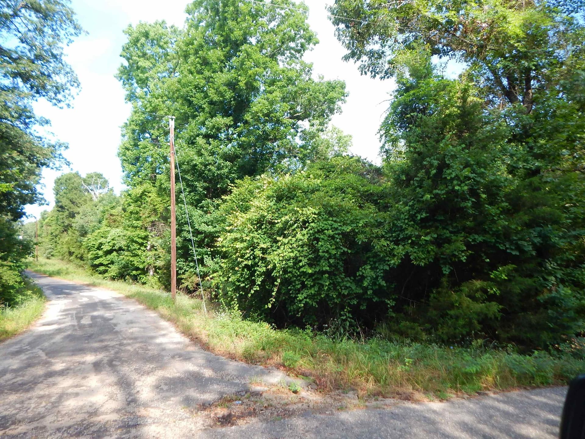 12.15 acres in Upshur County - photo 8