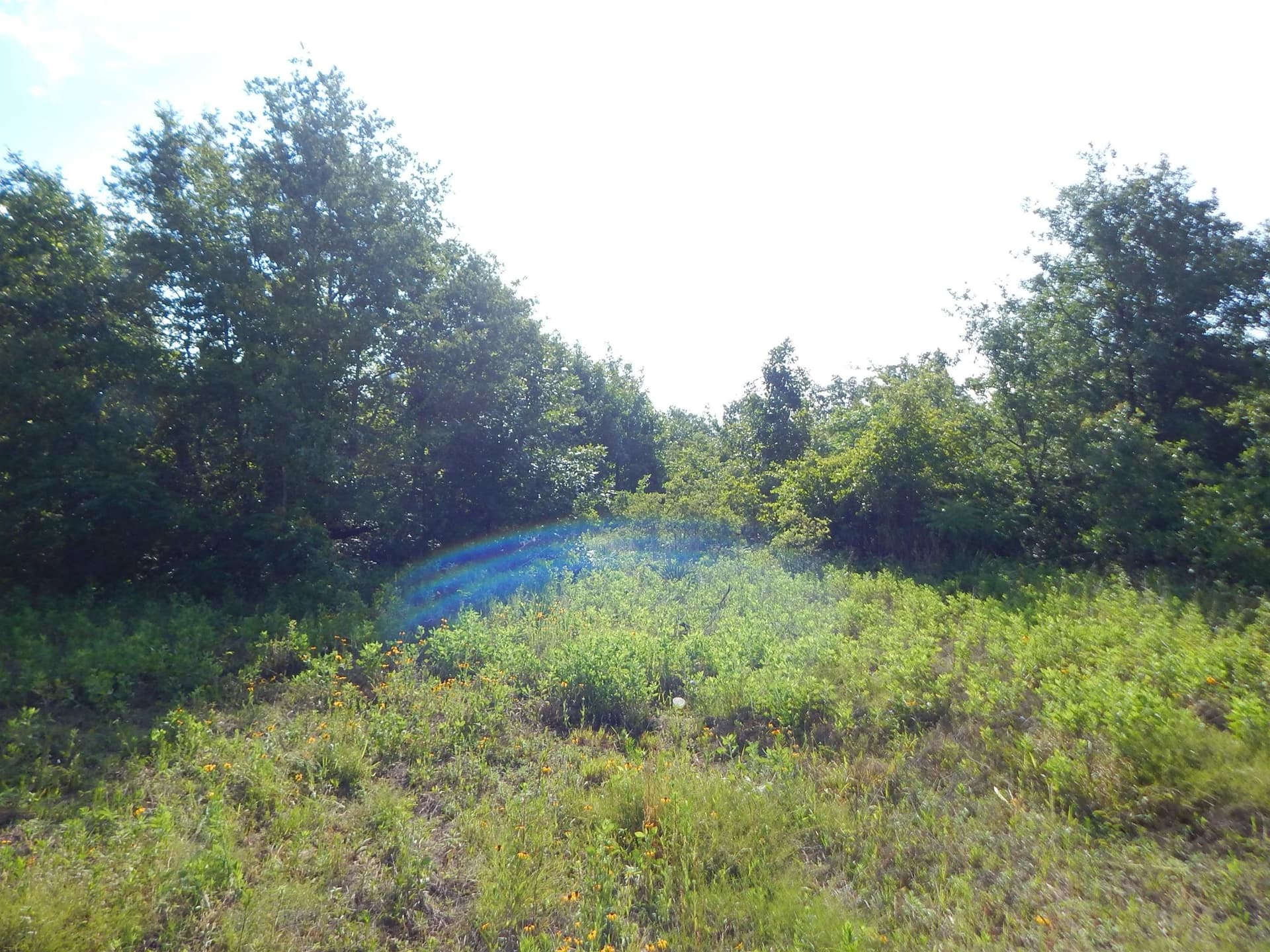 12.15 acres in Upshur County - photo 9