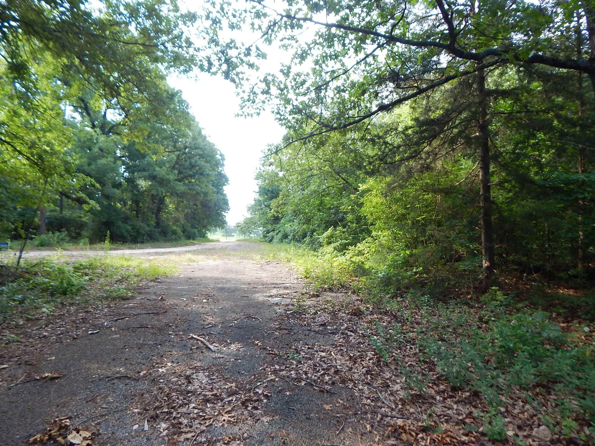 12.15 acres in Upshur County gallery image 4