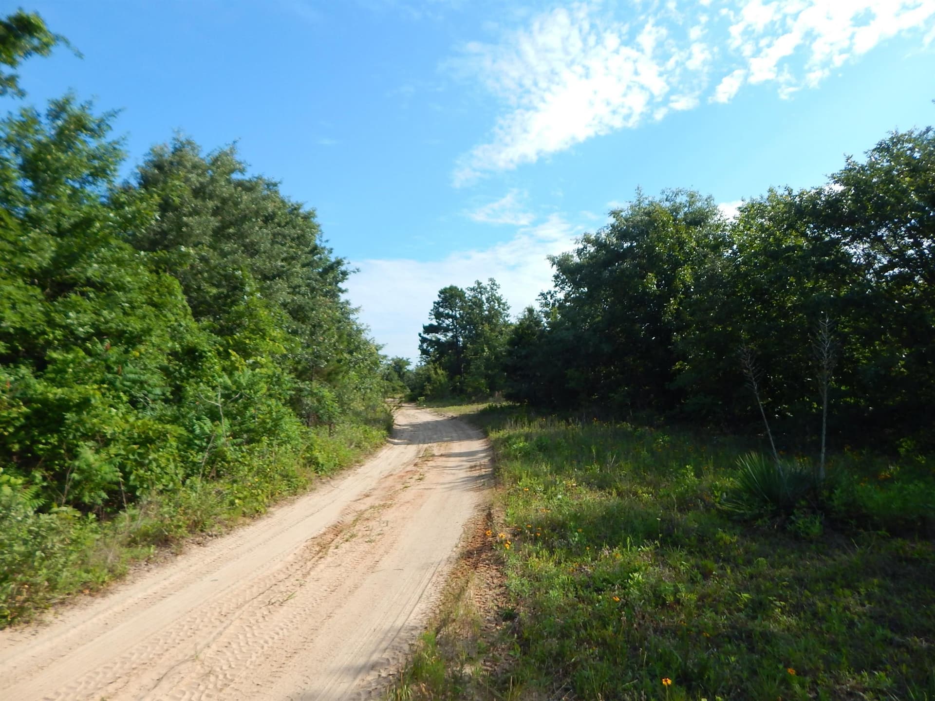 12.15 acres in Upshur County - photo 10