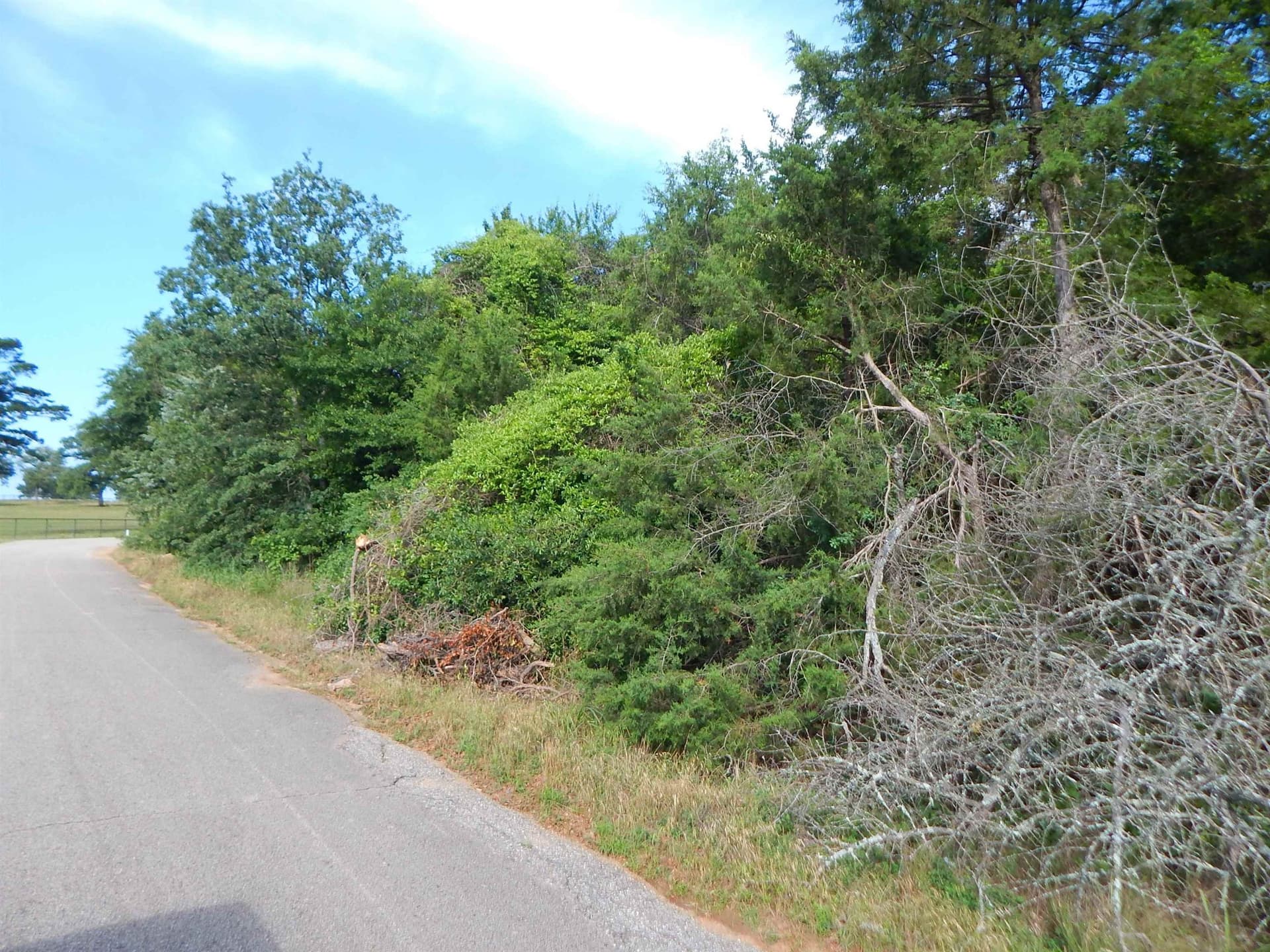 12.15 acres in Upshur County - photo 6