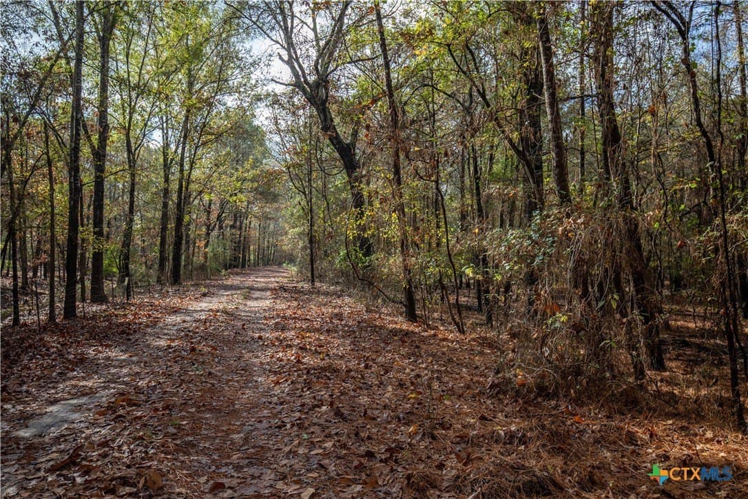 185 acres in Gregg County - photo 33