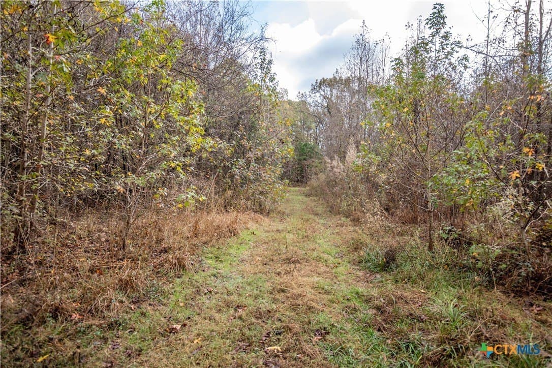 185 acres in Gregg County - photo 28