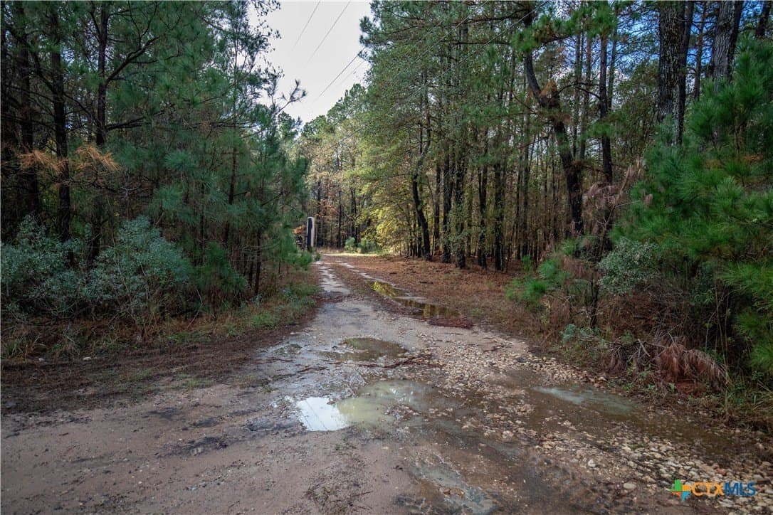 185 acres in Gregg County - photo 23