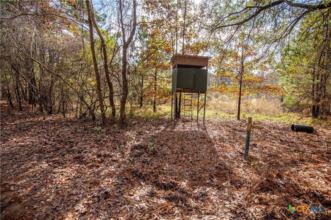 185 acres in Gregg County - photo 19