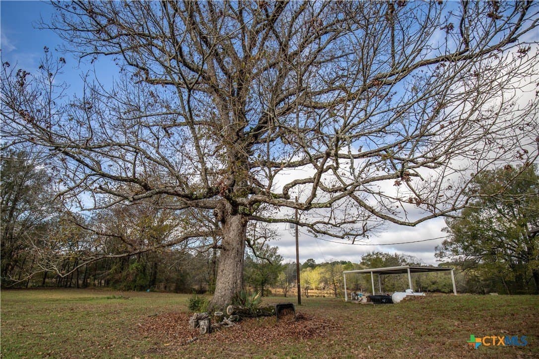 185 acres in Gregg County - photo 20