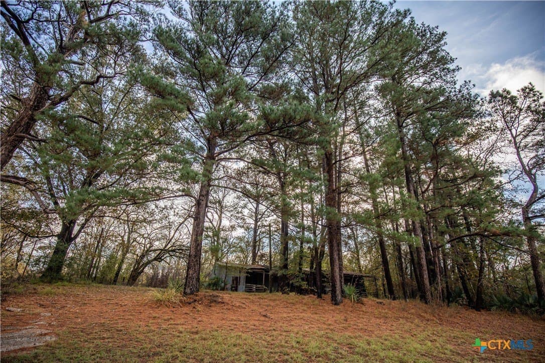 185 acres in Gregg County - photo 22