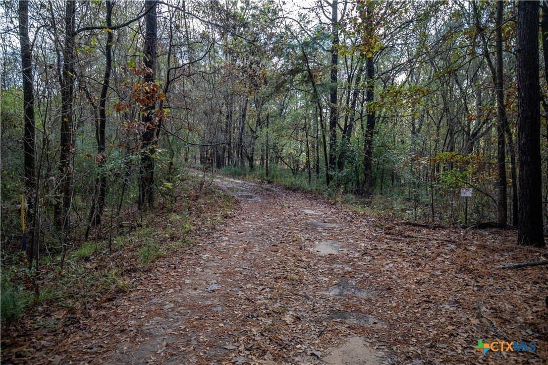 185 acres in Gregg County - photo 30