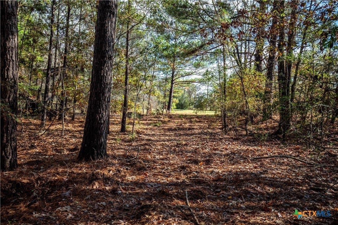 185 acres in Gregg County - photo 40