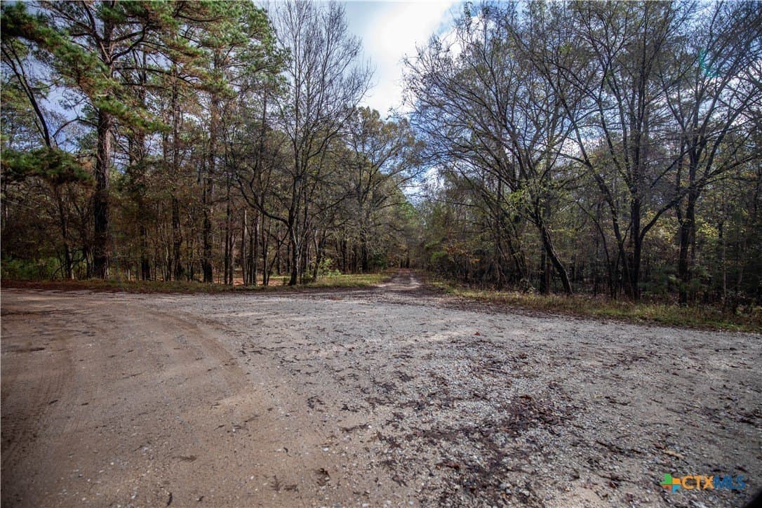 185 acres in Gregg County - photo 29