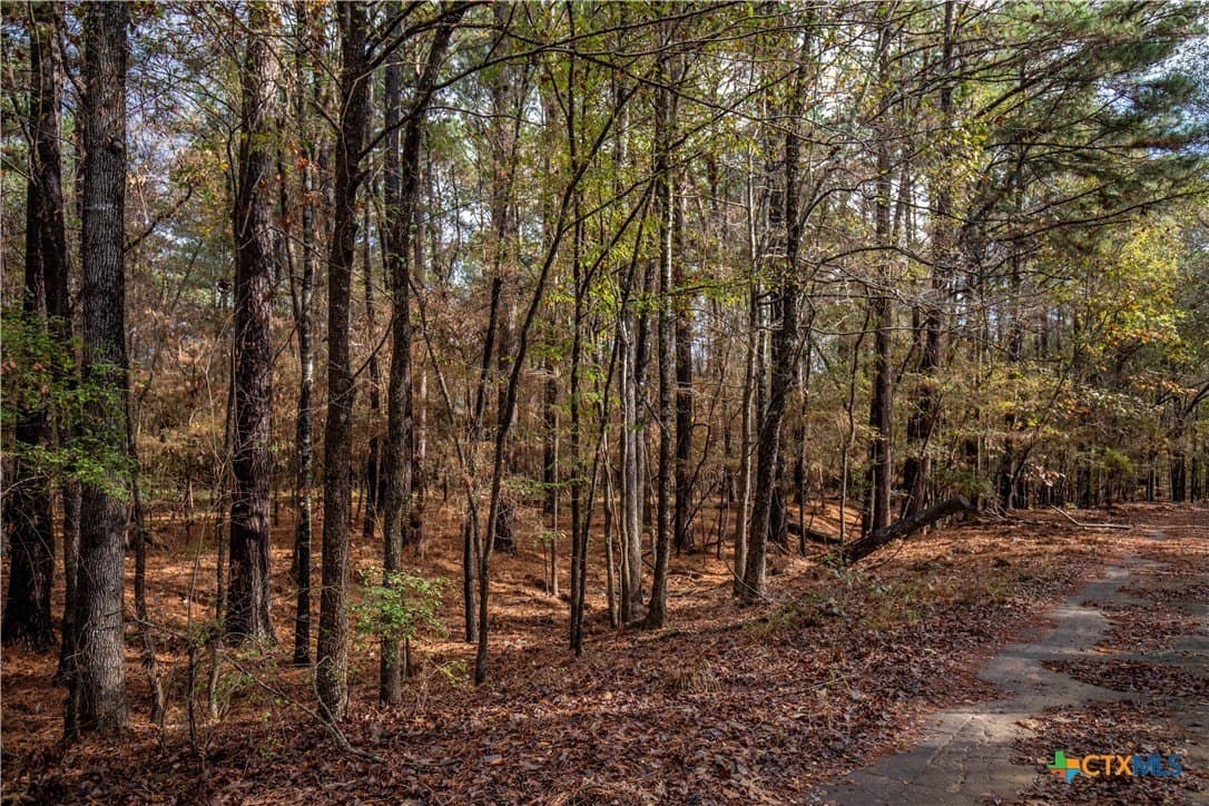 185 acres in Gregg County - photo 18