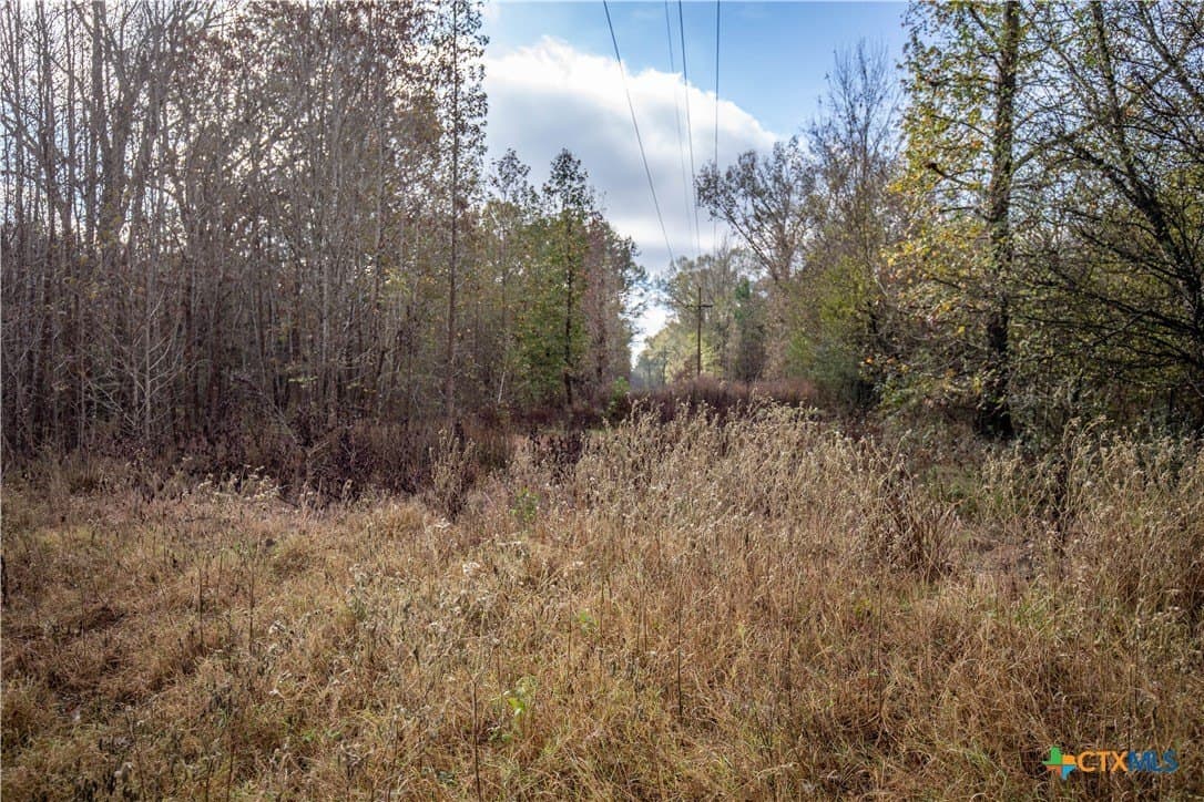 185 acres in Gregg County - photo 27