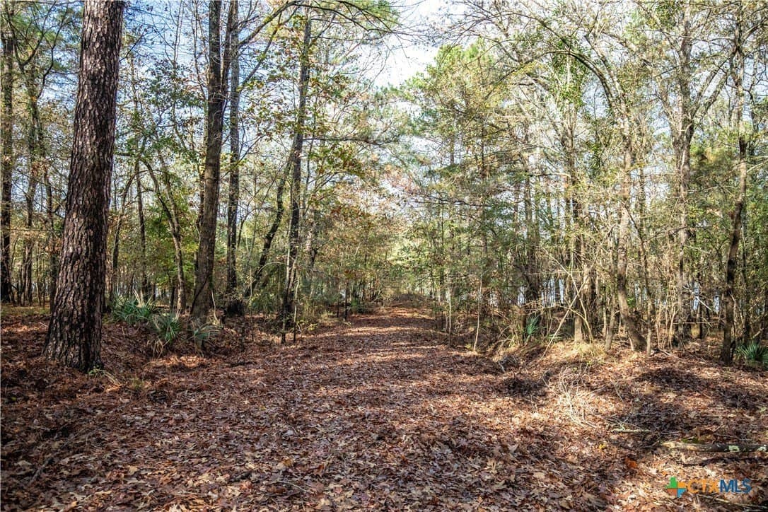 185 acres in Gregg County - photo 38