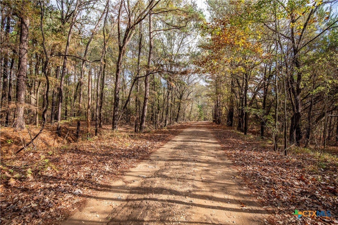 185 acres in Gregg County - photo 25