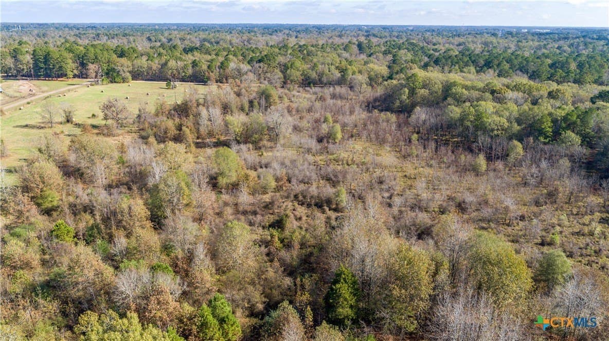 185 acres in Gregg County - photo 6