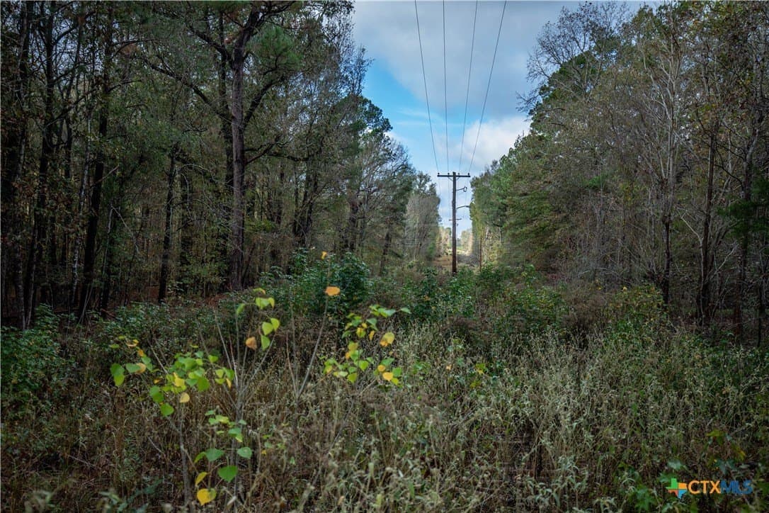 185 acres in Gregg County - photo 31