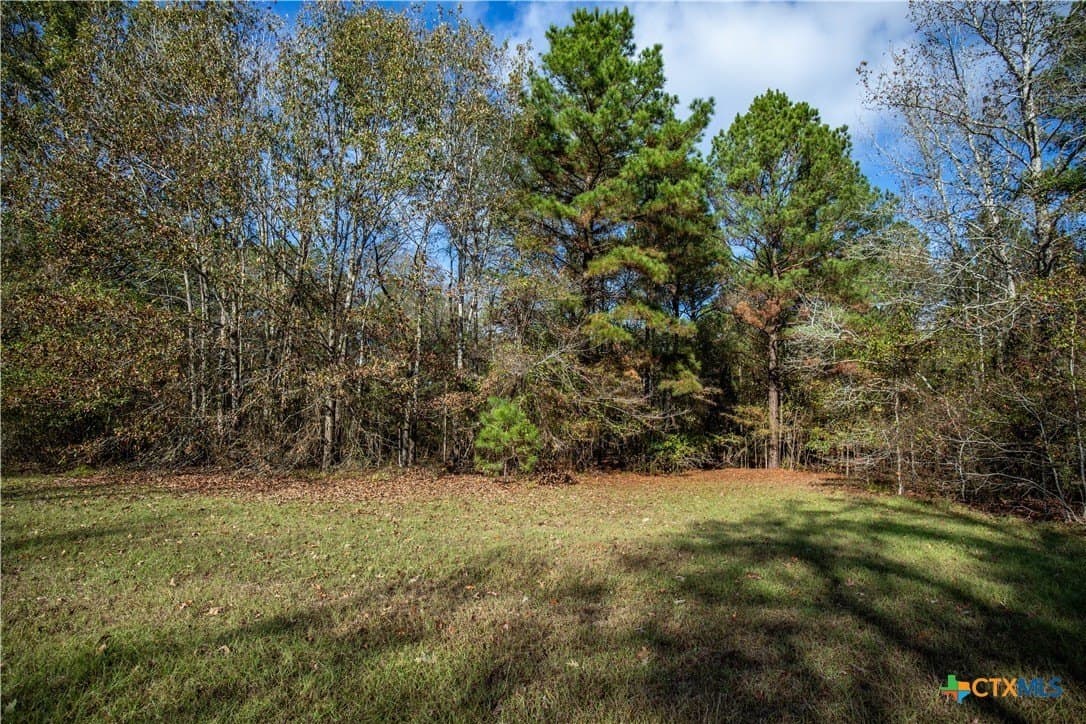 185 acres in Gregg County - photo 41