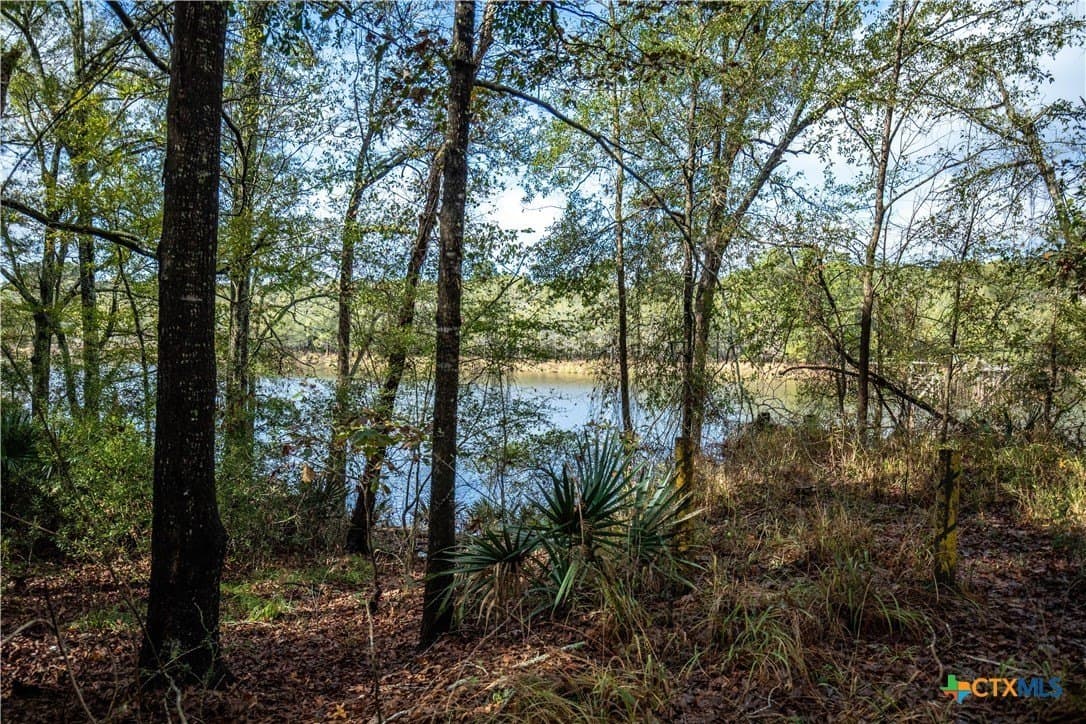 185 acres in Gregg County - photo 39