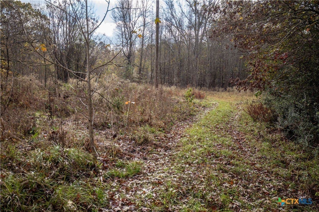 185 acres in Gregg County - photo 26