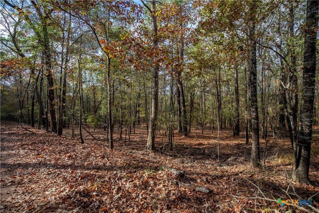 185 acres in Gregg County - photo 34