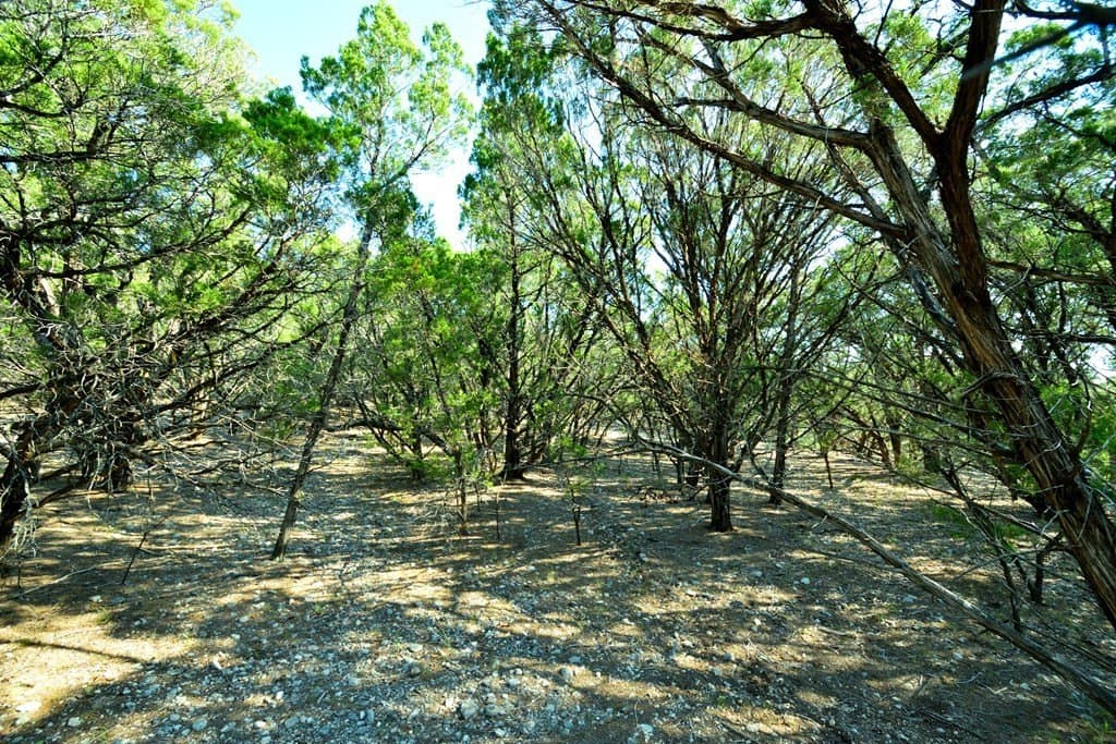 1.63 acres in Medina County - photo 17