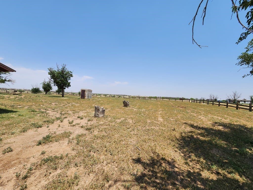 102 acres in Dawson County featured view