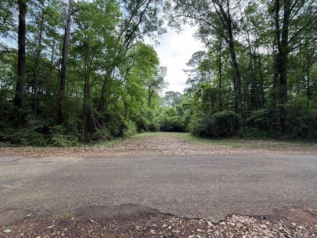 0.35 acres in Texas County gallery image 3