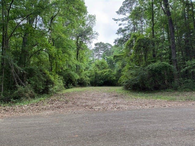 0.35 acres in Texas County gallery image 2
