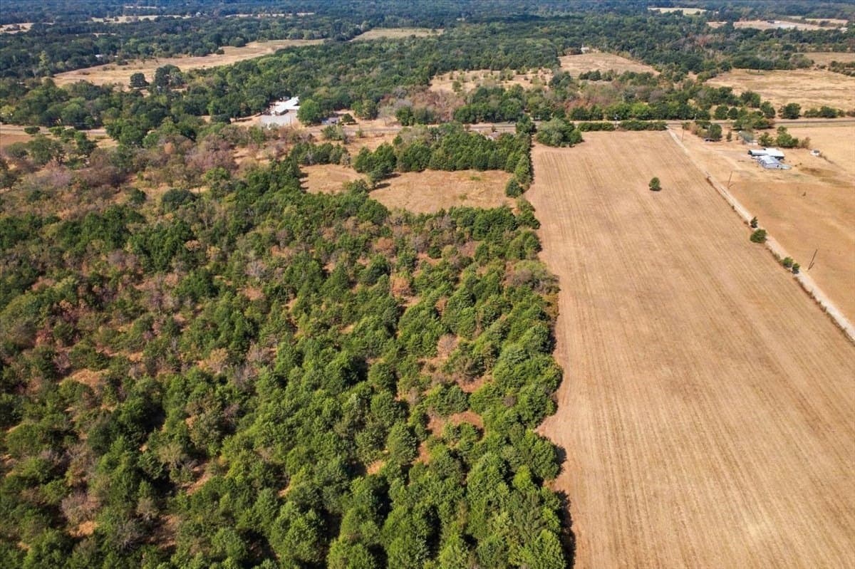 26.61 acres in Fannin County - photo 3