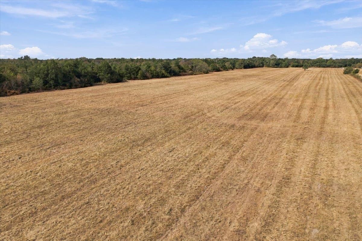 26.61 acres in Fannin County - photo 12