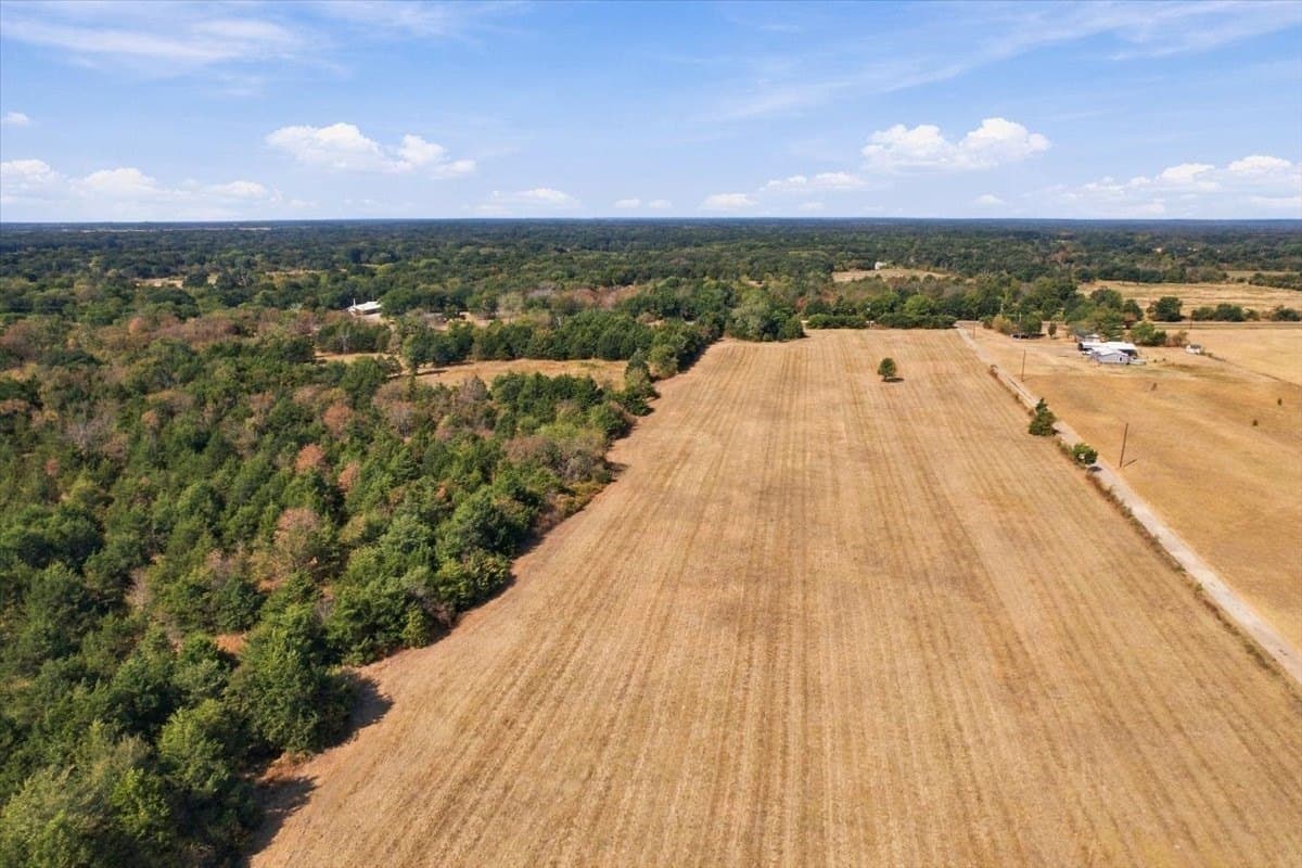 26.61 acres in Fannin County - photo 2