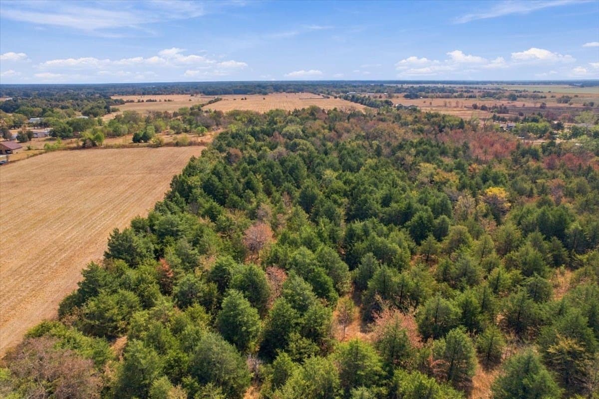 26.61 acres in Fannin County - photo 21