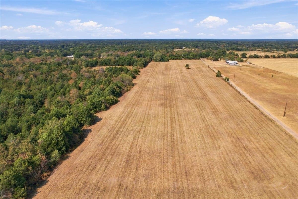 26.61 acres in Fannin County - photo 20