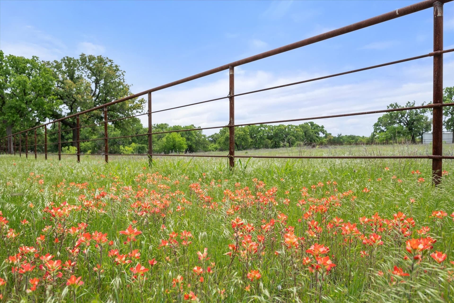 13.53 acres in Young County - photo 25