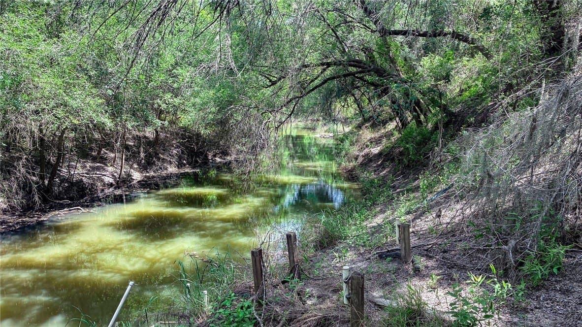 1.05 acres in Live Oak County - photo 3