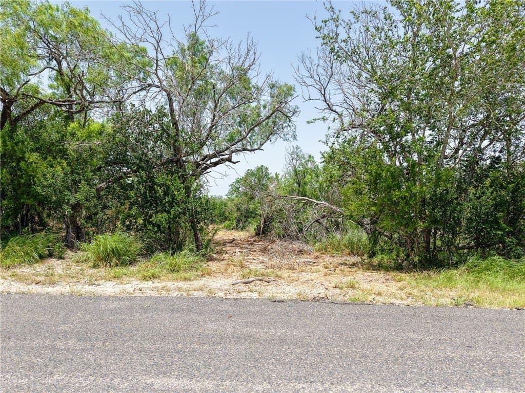 1.05 acres in Live Oak County - photo 6