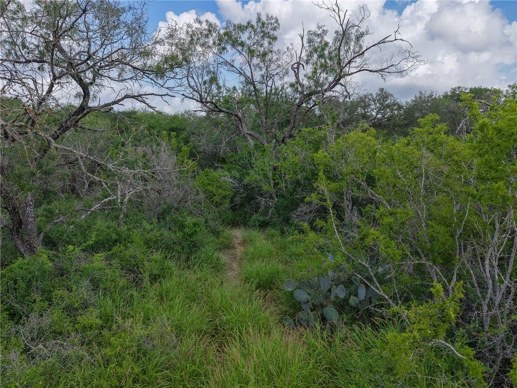 1.05 acres in Live Oak County - photo 7
