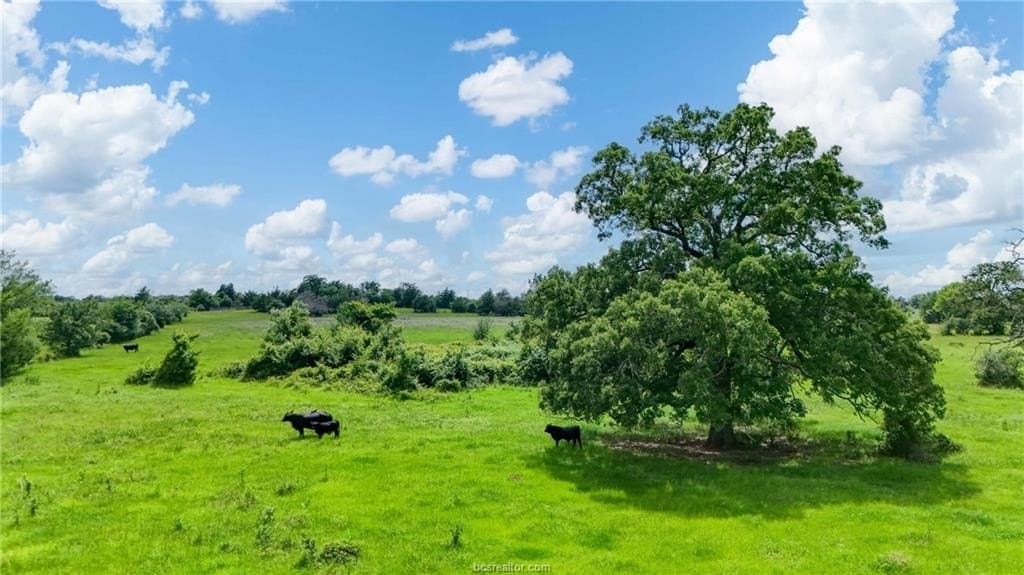 15.27 acres in Robertson County gallery image 4
