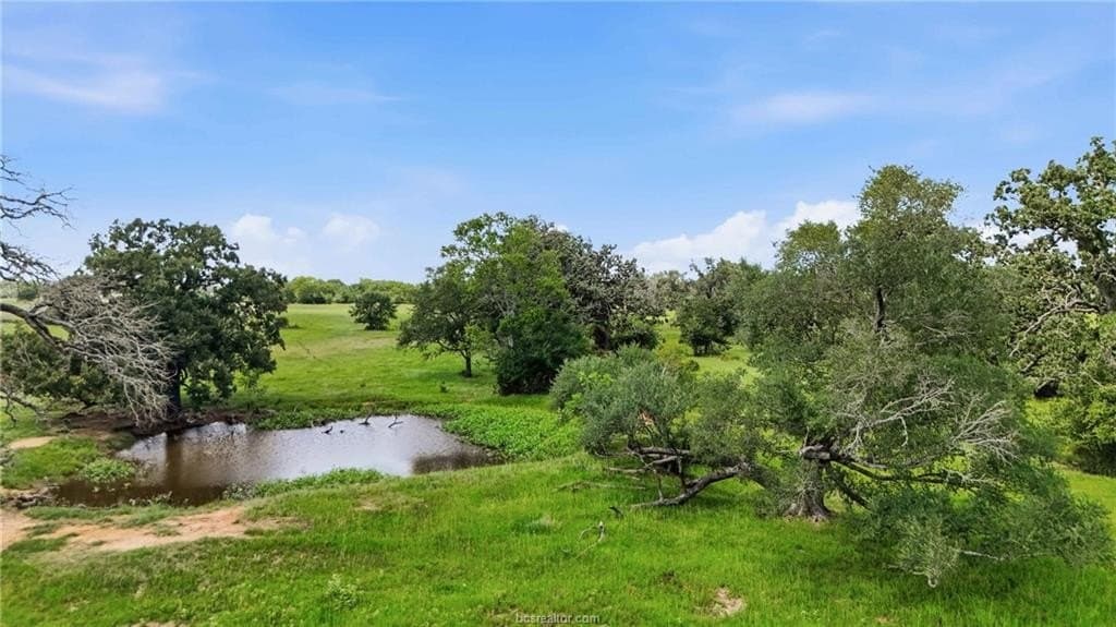 15.27 acres in Robertson County gallery image 3