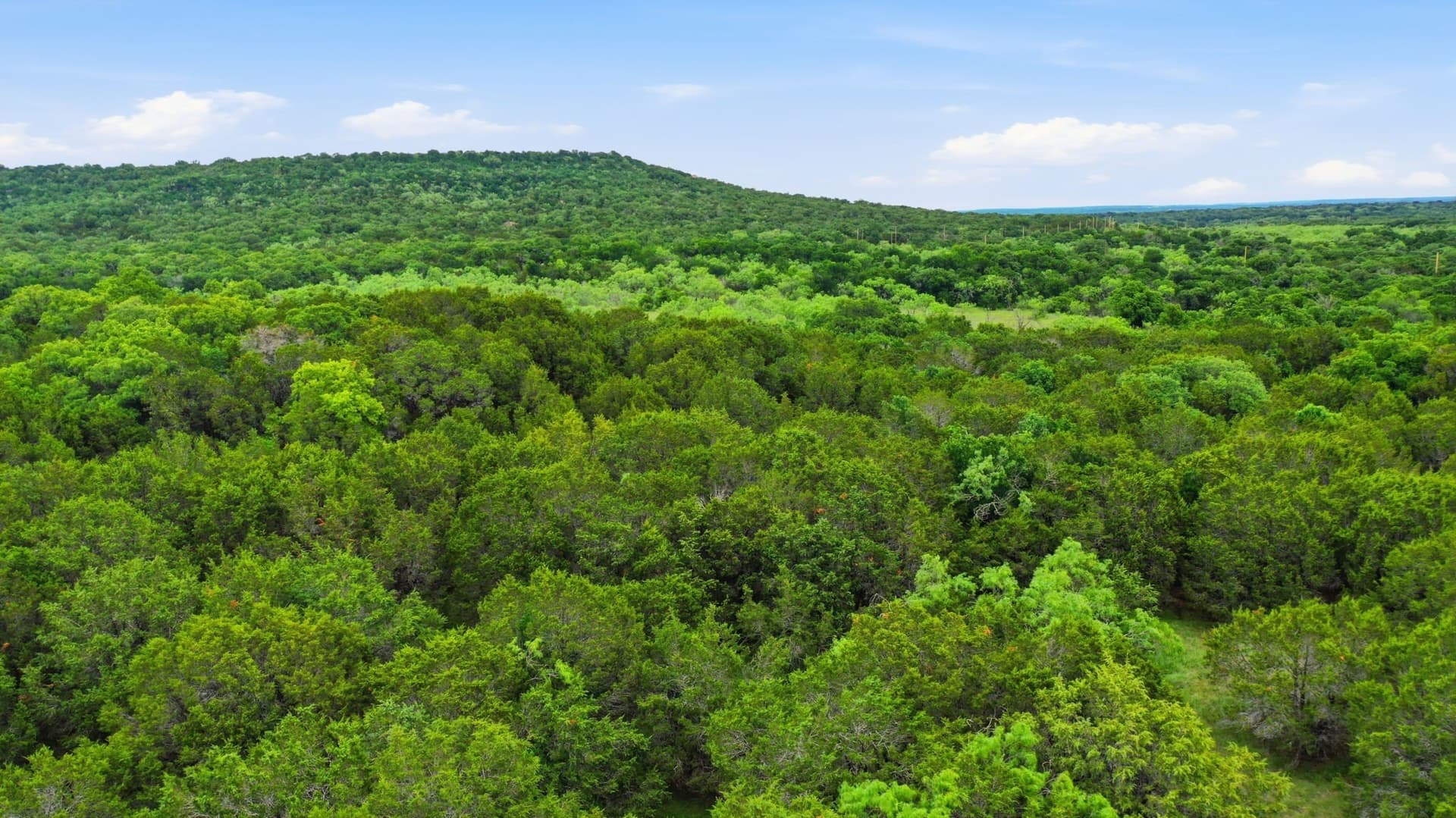 11 acres in Palo Pinto County - photo 9